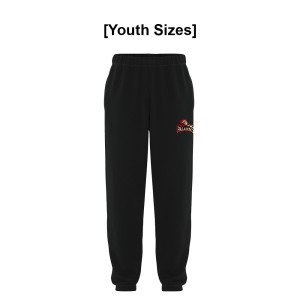 JrPALADINS - ATC Everyday Fleece Youth Sweatpants